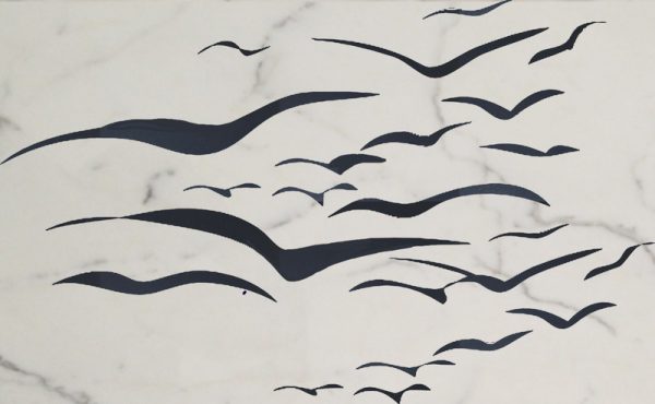 Soar